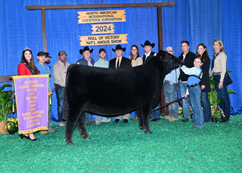 Reserve Grand Champion Female