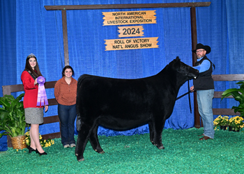 Senior Heifer Calf Champion--Division 2