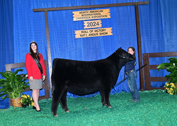 Reserve Senior Heifer Calf Champion--Division 1