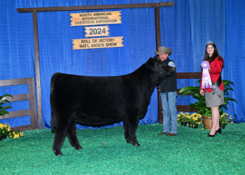 Reserve Senior Heifer Calf Champion--Division 2