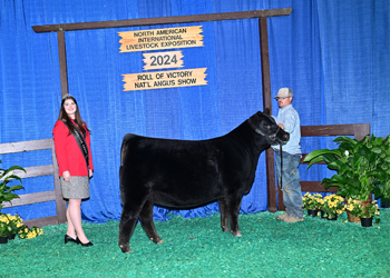 Reserve Junior Heifer Calf Champion--Division 3