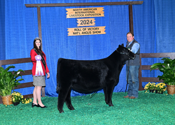 Reserve Junior Heifer Calf Champion-Division 2