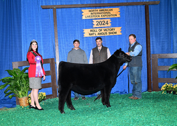 Junior Heifer Calf Champion-Division 1