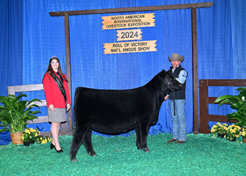 Junior Heifer Calf Champion-Division 2