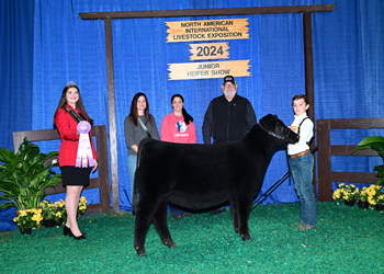 Reserve Junior Heifer Calf Champion-Division 1