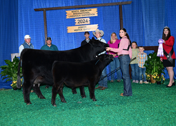 Reserve Senior Champion Female