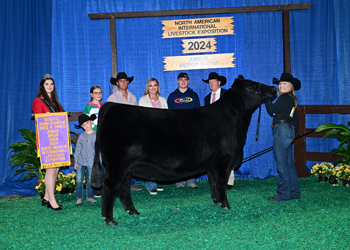 Reserve Grand Champion Bred-and-owned Female