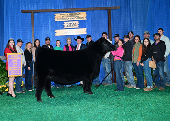 Reserve Grand Champion Female