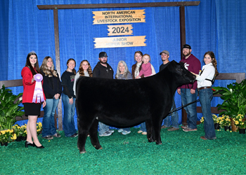 Reserve Intermediate Champion Heifer