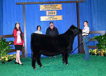 Reserve Senior Heifer Calf Champion--Division 1