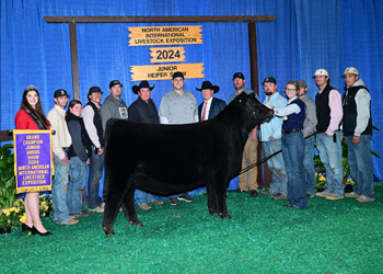 Grand Champion Female