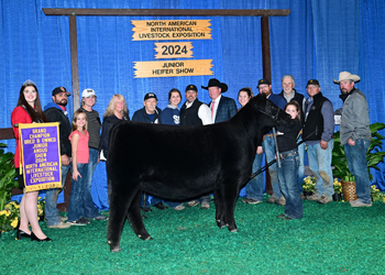 Grand Champion Bred-and-owned Female