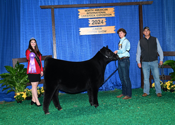 Junior Heifer Calf Champion--Division 2