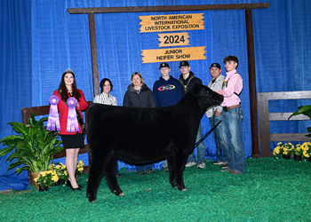 Junior Heifer Calf Champion--Division 3