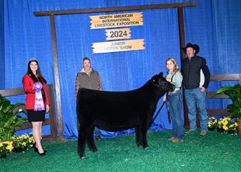 Junior Heifer Calf Champion--Division 1