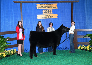 Reserve Junior Heifer Calf Champion--Division 3