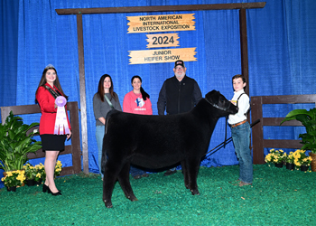 Reserve Junior Heifer Calf Champion--Division 1