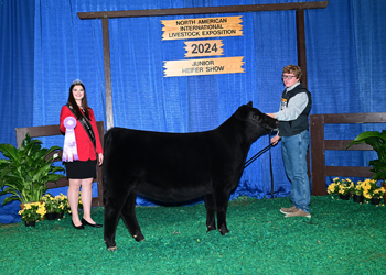 Res B&O Junior Heifer Calf Champion--Division 2