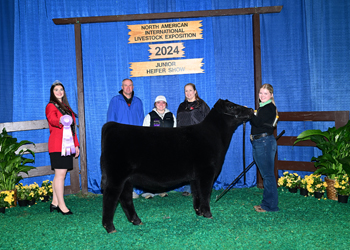 Reserve Junior Heifer Calf Champion--Division 2