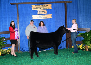 B&O Junior Heifer Calf Champion--Division 2