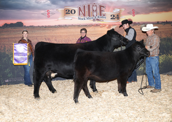 Grand Champion Cow-calf Pair