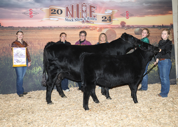 Reserve Grand Champion Cow-calf Pair