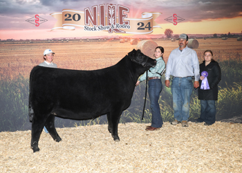 Late Junior Champion Heifer