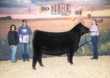 Intermediate Champion Heifer