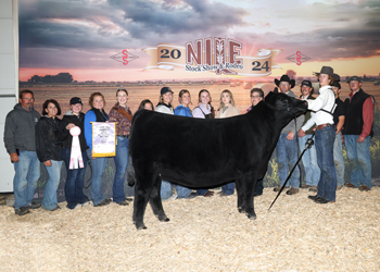 Reserve Grand Champion Female