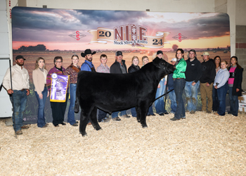 Grand Champion Bull