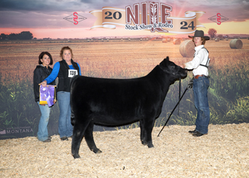 Late Junior Heifer Calf Champion