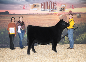 Reserve Senior Heifer Calf Champion