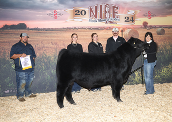 Reserve Senior Bull Calf Champion