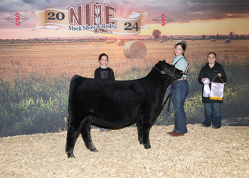 Reserve Late Junior Heifer Calf Champion