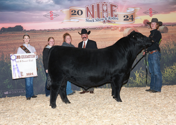 Grand Champion Bred-and-owned Bull