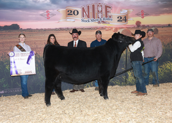 Grand Champion Bred-and-owned Female