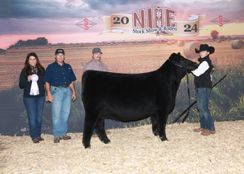 Owned Reserve Intermediate Champion Heifer