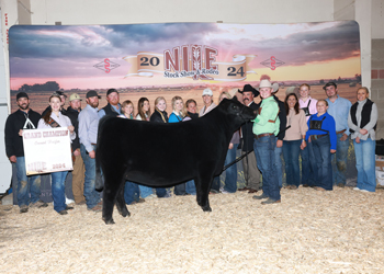 Grand Champion Owned Female