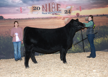 Owned Reserve Junior Champion Heifer--division 2