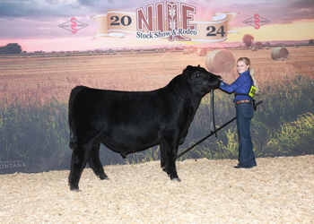 Bred-and-owned Reserve Senior Bull Calf Champion