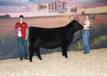 Owned Intermediate Champion Heifer