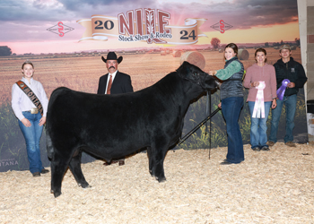 Reserve Grand Champion Bred-and-owned Bull