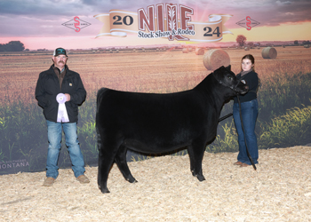 Owned Reserve Senior Heifer Calf Champion