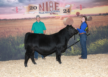 Bred-and-owned Reserve Junior Bull Calf Champion