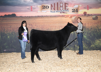 Bred-and-owned Senior Heifer Calf Champion