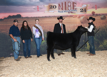 Bred-and-owned Junior Heifer Calf Champion