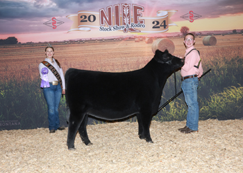 Owned Senior Heifer Calf Champion