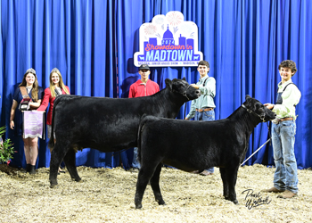 Owned Reserve Champion Mature Cow-calf Pair
