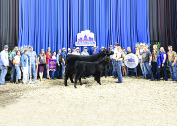 Grand Champion Owned Cow-calf Pair