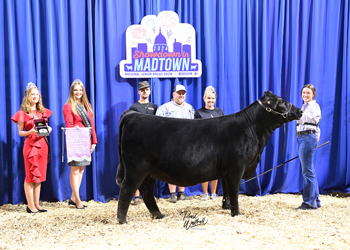 Bred-and-owned Reserve Early Junior Champion Heifer